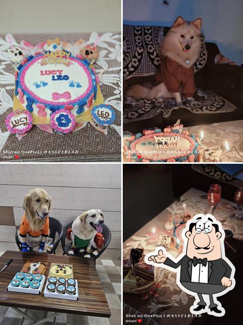 Pawfect Kitchen - A Pet Bakery