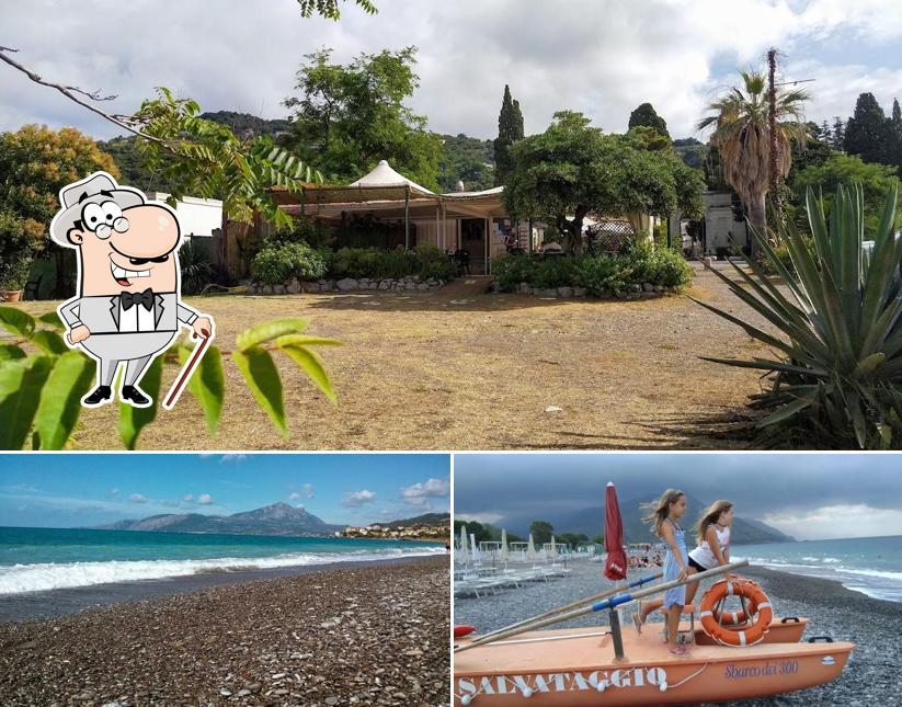 Puoi goderti l'aria fresca dal dehors di Lido la Duna