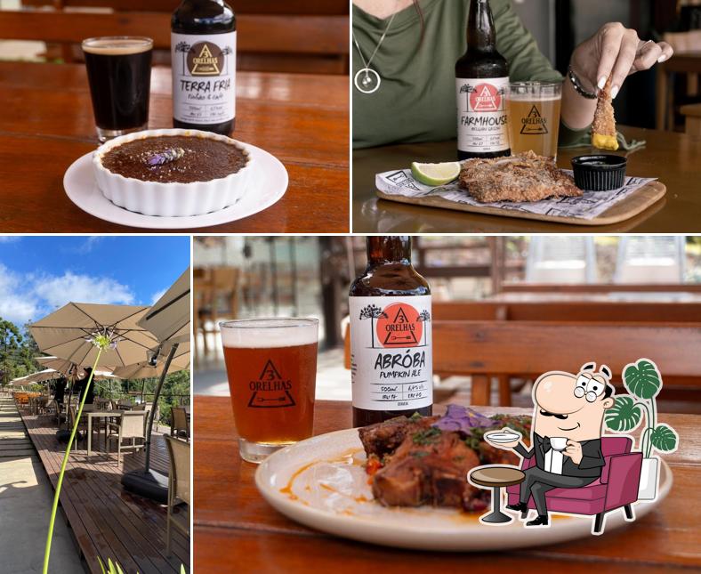 Veja imagens do interior do Cervejaria 3 Orelhas Gonçalves MG
