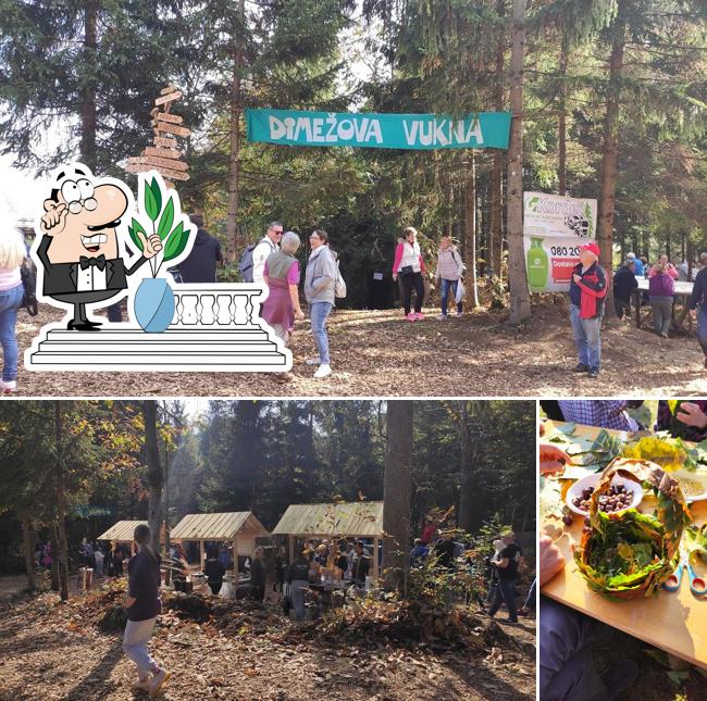 Tra le varie cose da Kostanov piknik v Besnici pri Kranju si possono trovare la esterno e cibo