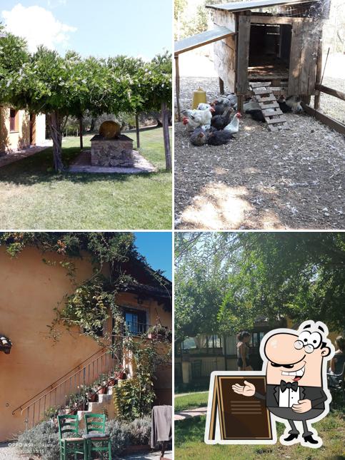 Guarda gli esterni di Agriturismo Il Gelso Nero
