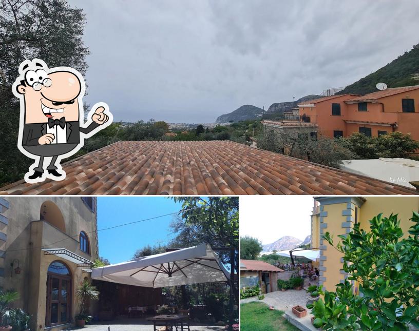 Guarda gli esterni di Da Nonna Luisa “Agriturismo Antico Casale”