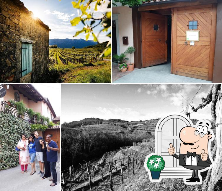Gli esterni di The wine house Rondič