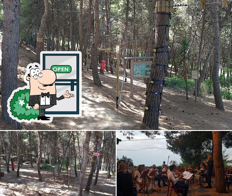 Tra le diverse cose da Parco La Pineta Agriturismo si possono trovare la esterno e interni