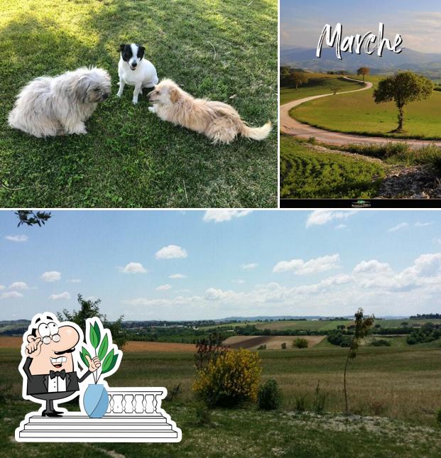 Gli esterni di Agriturismo Il Confine