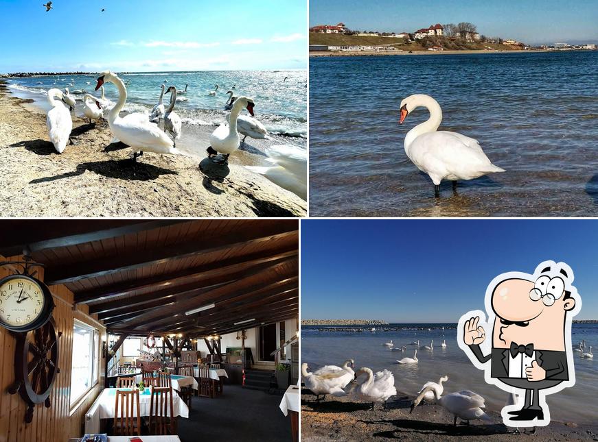 Taverna Capul Turcului
