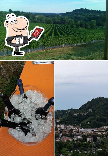 Gli esterni di Agriturismo Althea