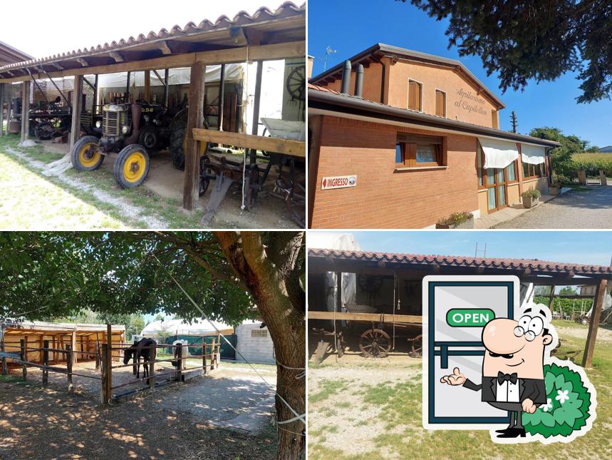 Gli esterni di Agriturismo Al Capitellon