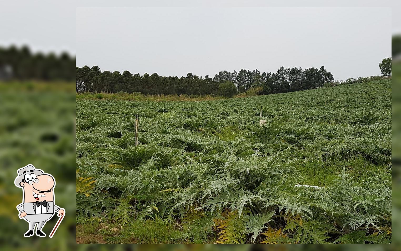 Zè Caneta