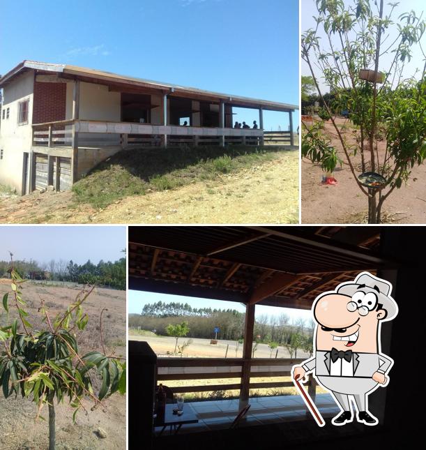 Trevo Da Sorte
