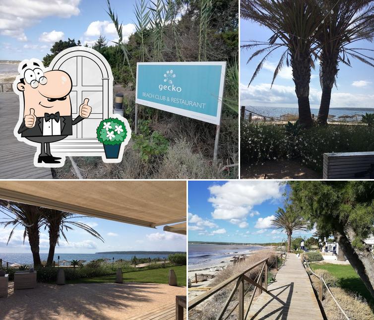 Gecko Hotel & Restaurant
