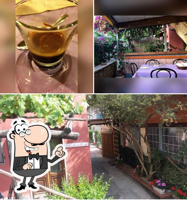 La immagine della esterno e birra di Trattoria da Emma