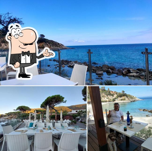 Dai un'occhiata agli interni di Summer Bar di Andrea Barsalini