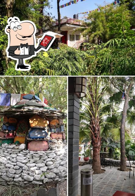 Take a look at the outside part of Norling Cafe