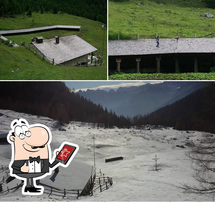 Guarda gli esterni di Casera Tartoi Forni di Sopra