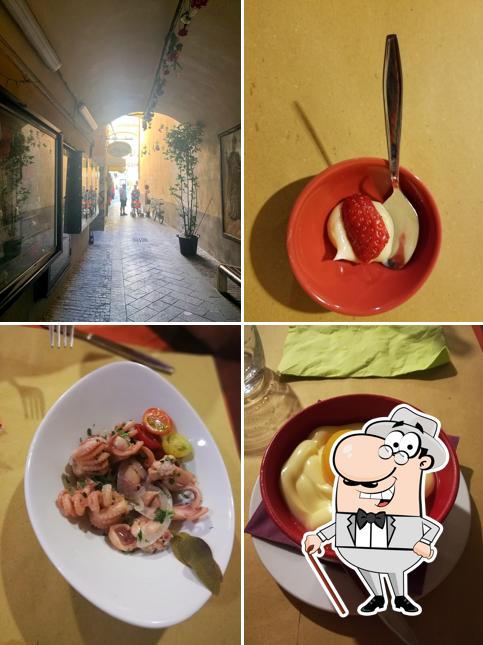 Guarda gli esterni di Mar e timo