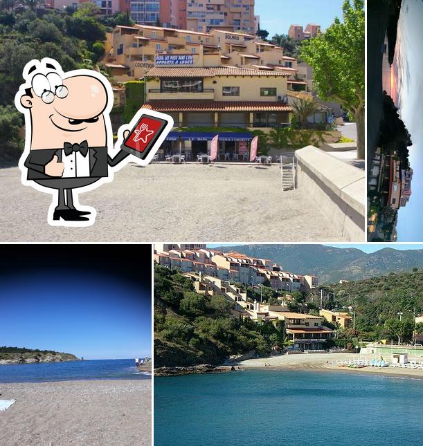 Snack de Plage Le Sun Elmes Banyuls sur Mer