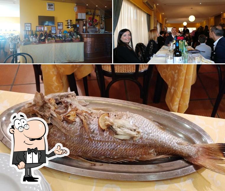 Gli interni di Dal Mollusco