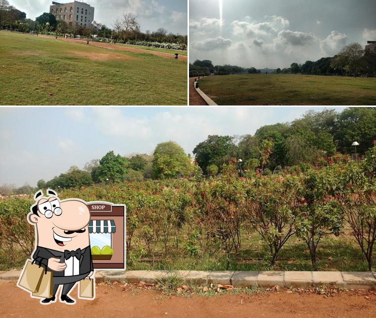 Enjoy the view outside (4) Swarnim Park Cafeteria