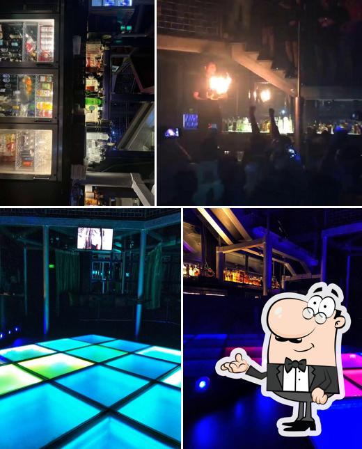 Check out how Pasha looks inside