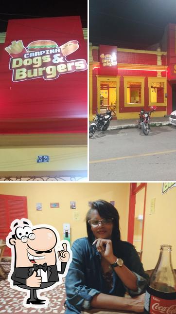 DOGS & BURGERS