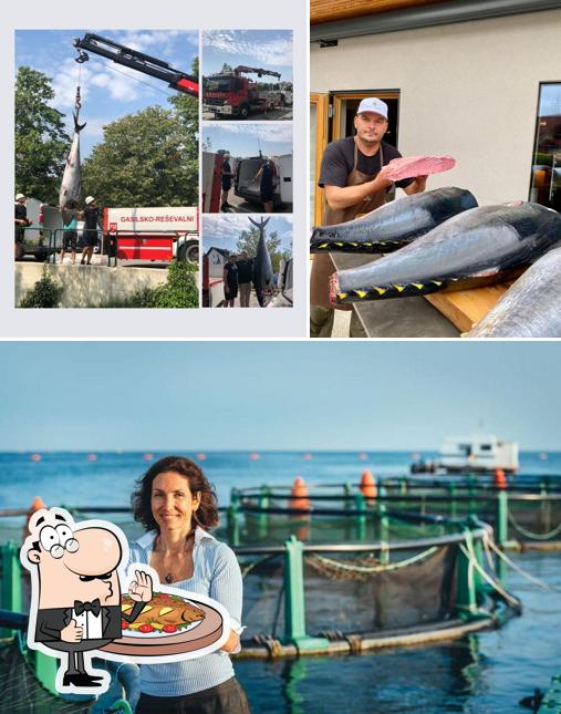 Fink & Situla serve un menu per gli amanti del pesce