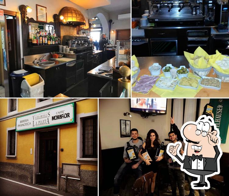 Gli interni di Bar La Pianta