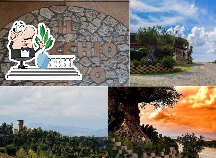 Gli esterni di Agriturismo Il Vecchio Ulivo