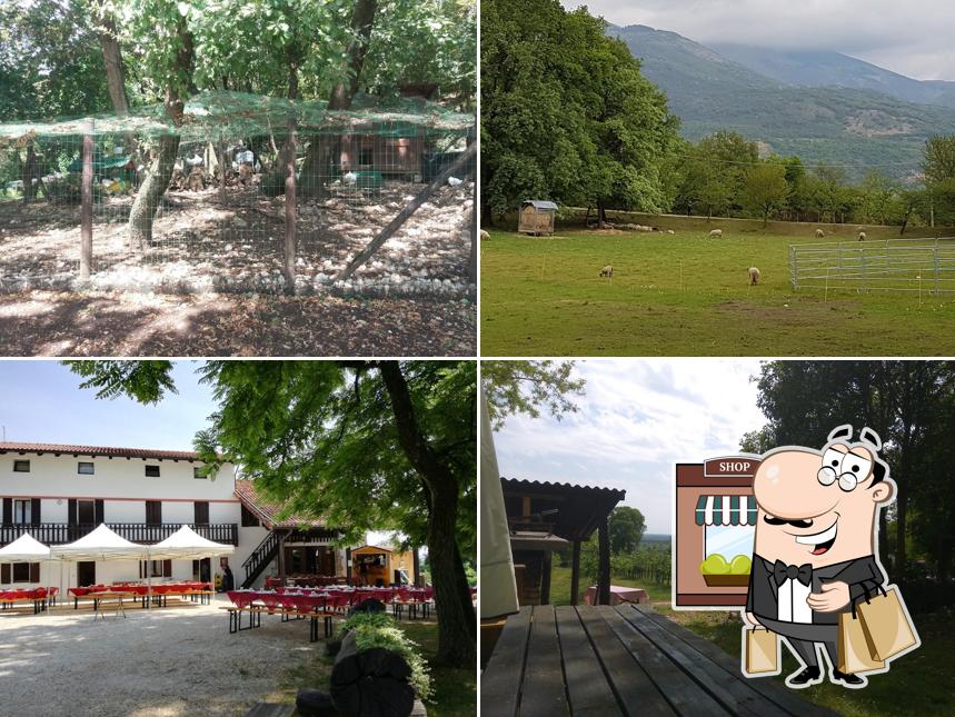 Taverna Della Lana