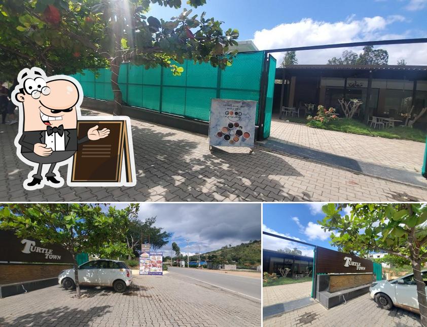 Check out how Turtle Town looks outside