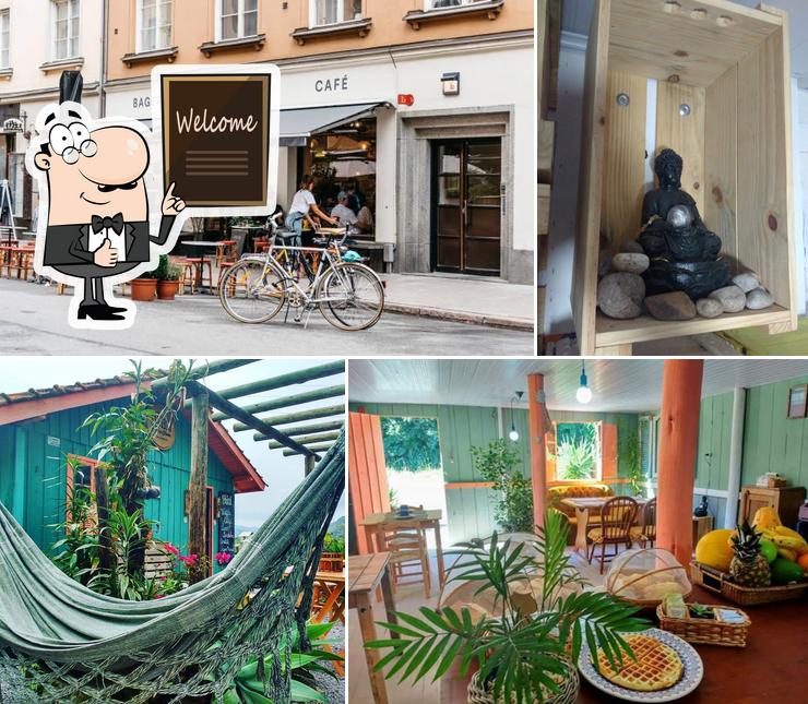 Paiol Café & Jardim