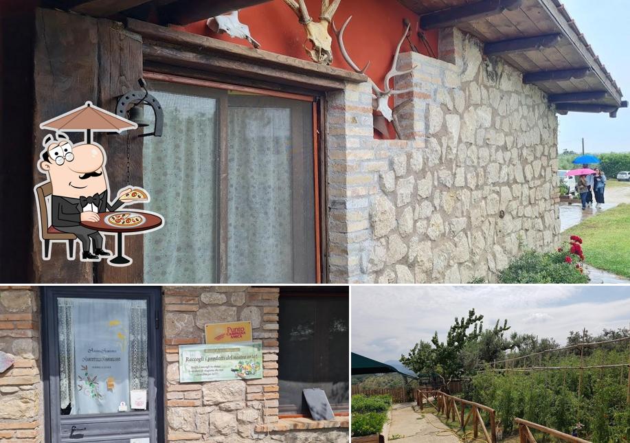 Gli esterni di Azienda Agricola Marcotulli Massimiliano