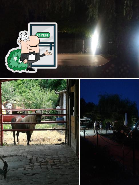 Guarda gli esterni di Il Giardino di Pampero