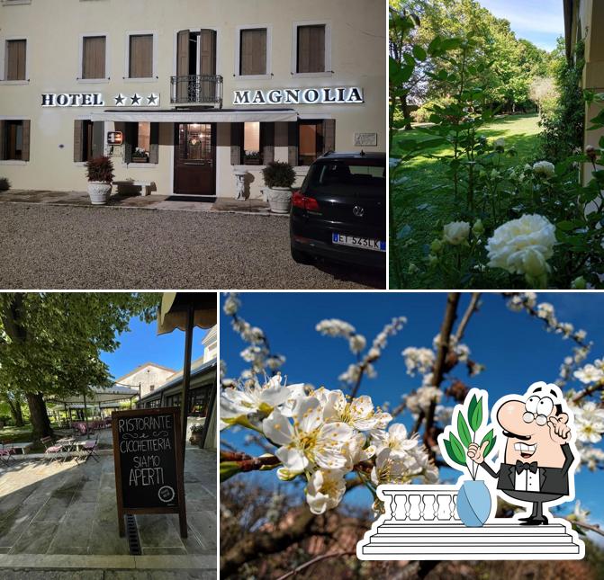 Guarda gli esterni di Magnolia