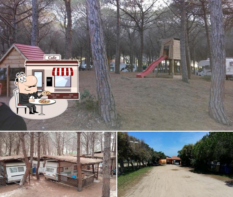 La foto della esterno e area giochi di Camping Nurapolis