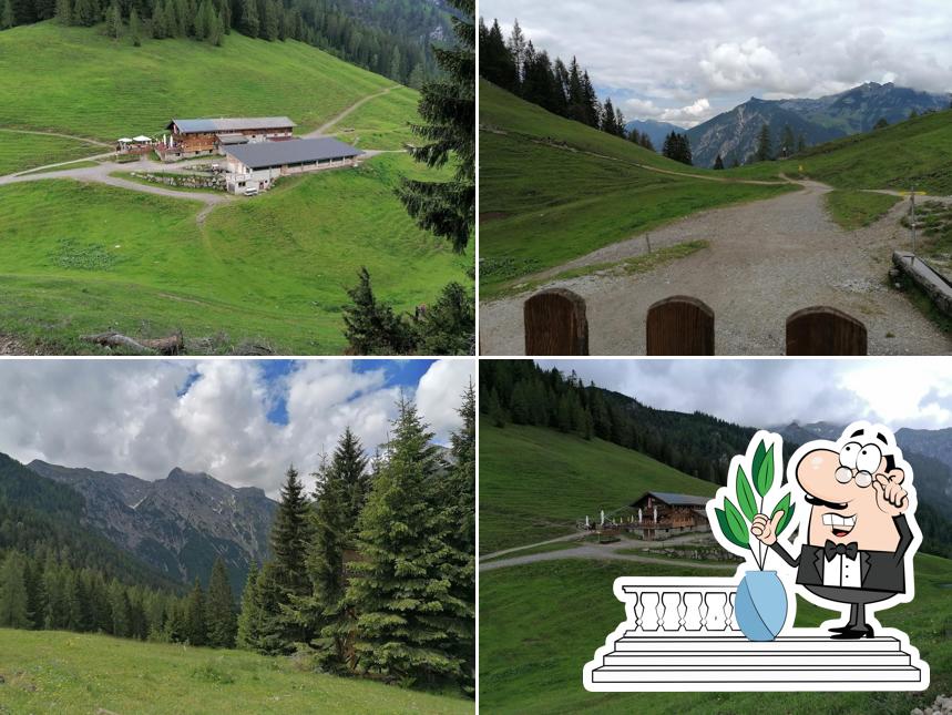 Bärenbadalm Pertisau (Karwendel)