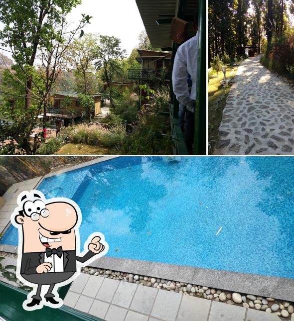 Enjoy the view at the outside area of The Sal Woods - Forest Retreat and Spa