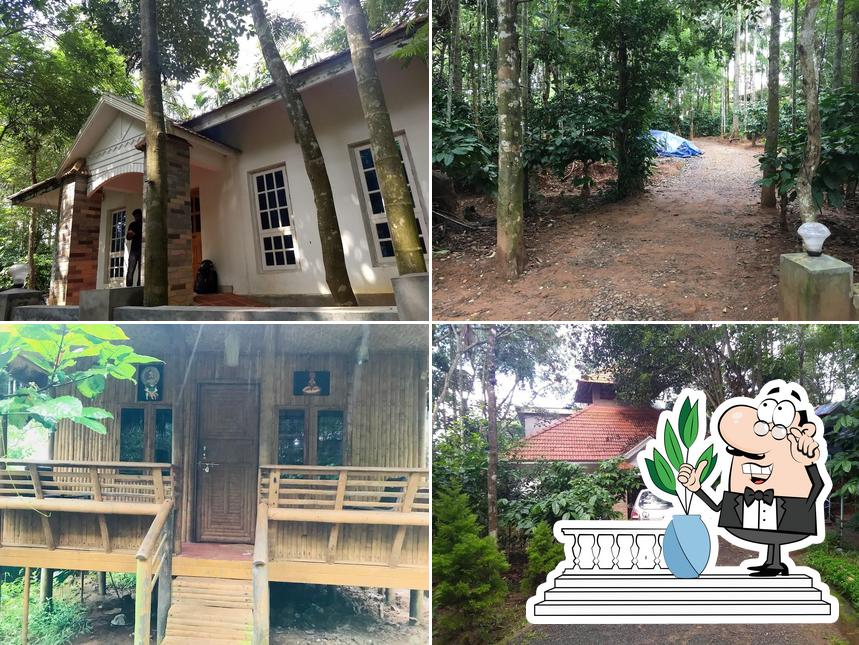 Check out how Coffee Mist Resort looks outside