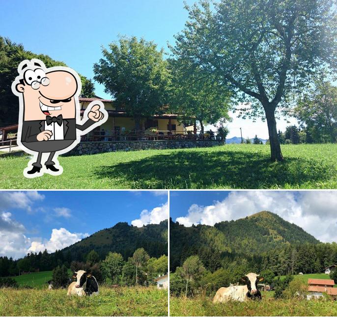 Goditi la vista dagli esterni di Cinque Abeti