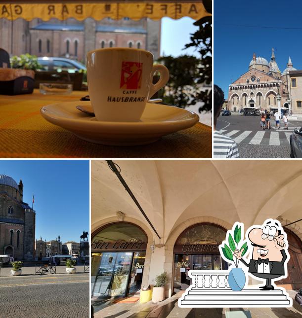 Guarda gli esterni di Bar Caffè Gattamelata