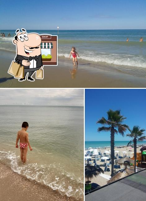 Guarda gli esterni di Lido Pineta Beach