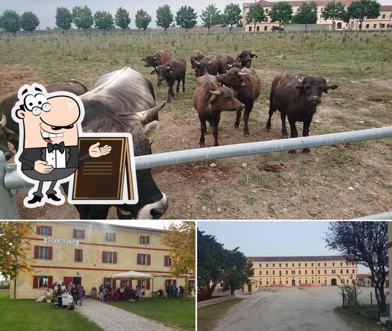 La parte esterna è una caratteristica importante di Frasca Borgoluce