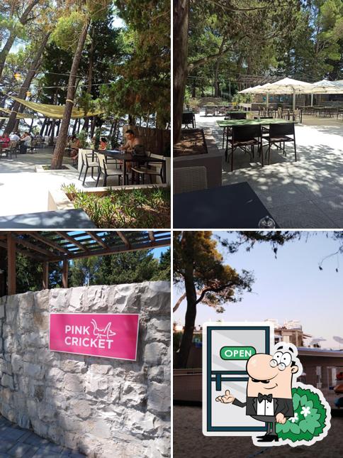 La immagine della esterno e interni di Beach bar "Pink Cricket"