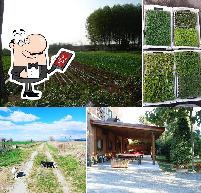 Guarda gli esterni di Agriturismo Corte Seleson