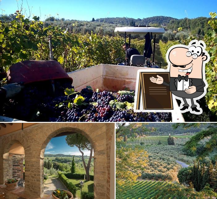Gli esterni di Fattoria di Pancole