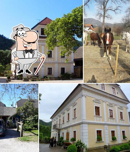 Turist Farm Pr' Krac - Traditional guesthouse