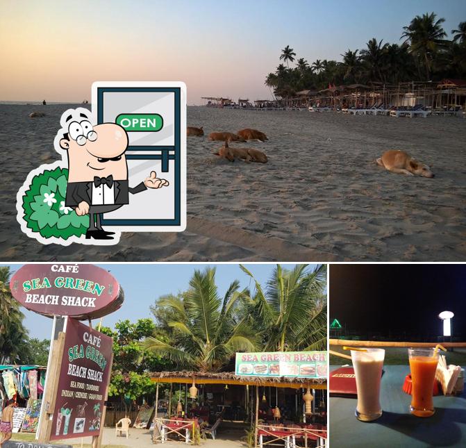 Cafe Sea Green Beach Shack is distinguished by exterior and beverage