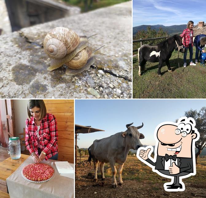 La Fattoria di Ema