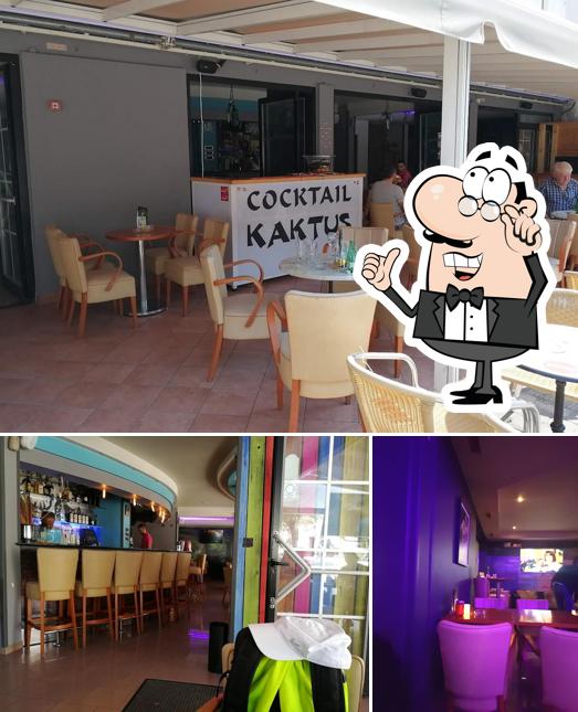 Gli interni di Kaktus