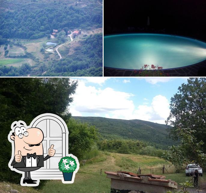 Guarda gli esterni di Fattoria il Praticino